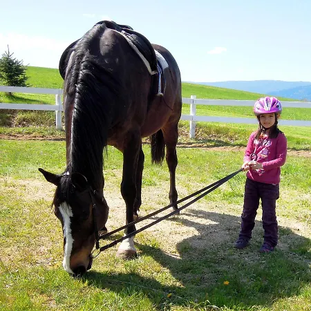 U Sebastiana Lejlighed Hodousice